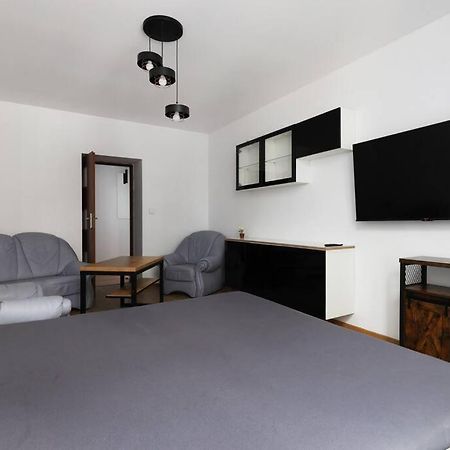 Przyjazny Apartament W Bedzinie Zewnętrze zdjęcie