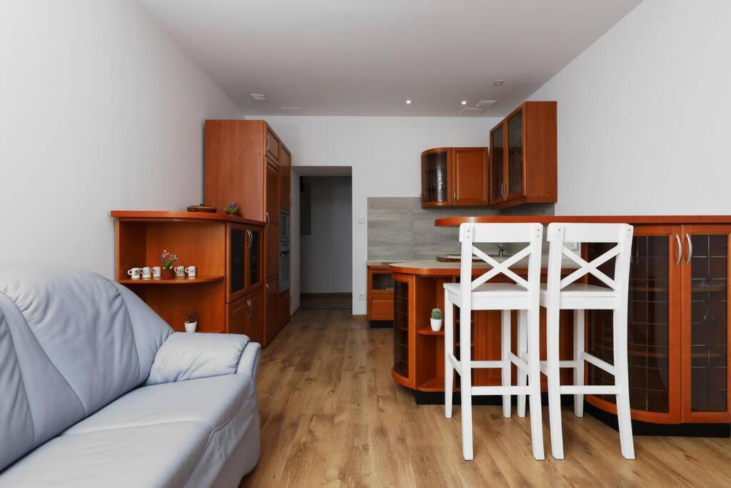 Przyjazny Apartament W Bedzinie Zewnętrze zdjęcie