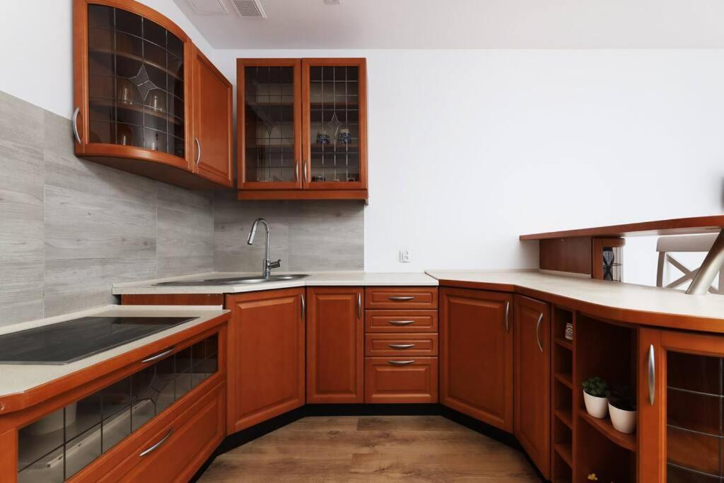 Przyjazny Apartament W Bedzinie Zewnętrze zdjęcie